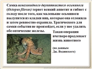 be09l12F015.jpg