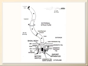BE2011L11F019.jpg