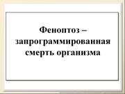 BE2011L12F009.jpg