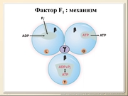 BE10L10F020.jpg