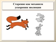 BE10L13F019.jpg