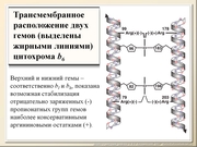 BE10L03F026.jpg
