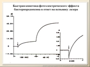 BE10L08F020.jpg