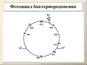 BE10L08F015.jpg