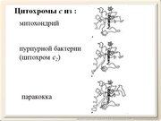 be09l03F007.jpg