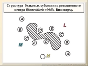 BE2011L02F016.jpg