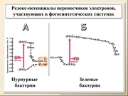 BE10L02F012.jpg