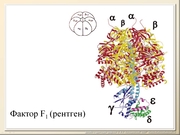 BE10L10F007.jpg