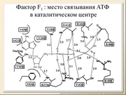 BE2011L10F041.jpg