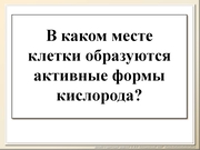 BE10L13F037.jpg