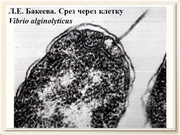 be09l11F015.jpg